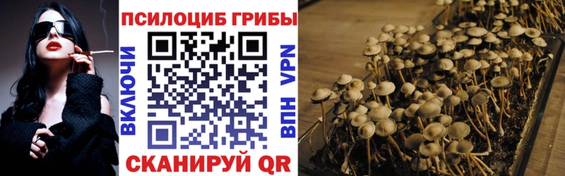 Галлюциногенные грибы Psilocybe OMG сайт Инза